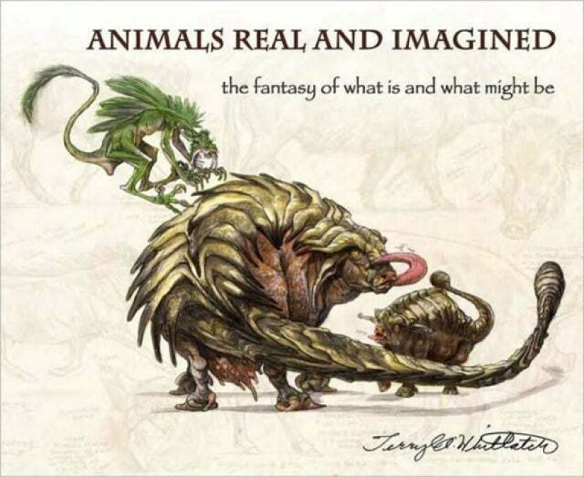 Animals Real and Imagined av Terryl Whitlatch