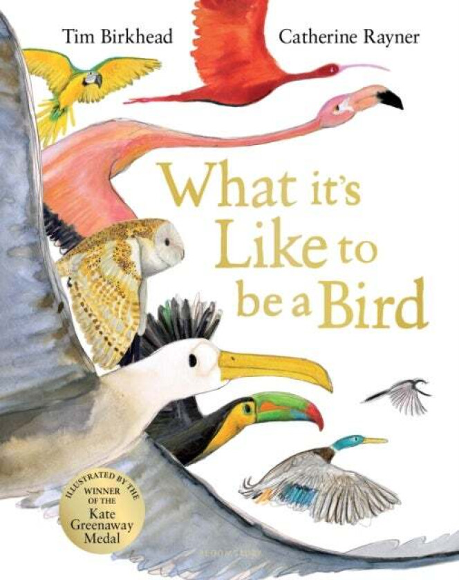 What it's Like to be a Bird av Tim Birkhead