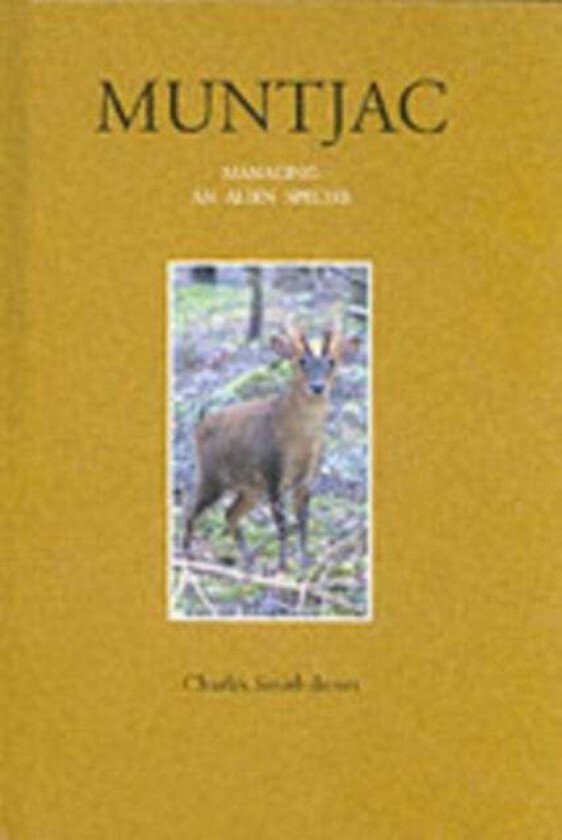 Muntjac Av Charles Smith-Jones