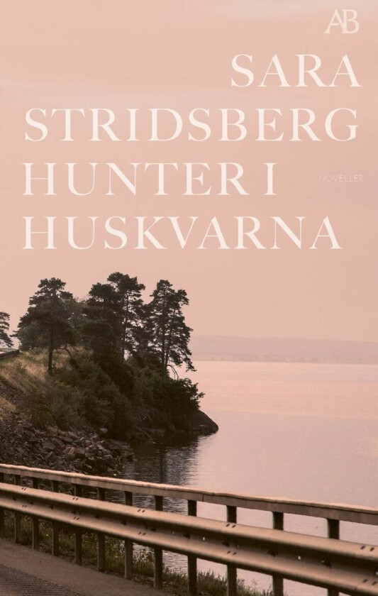 Hunter i Huskvarna av Sara Stridsberg