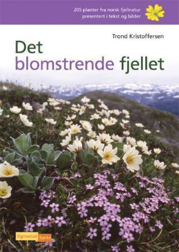 Det blomstrende fjellet av Trond Kristoffersen