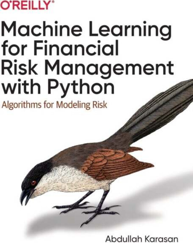 Machine Learning for Financial Risk Management with Python av Abdullah Karasan