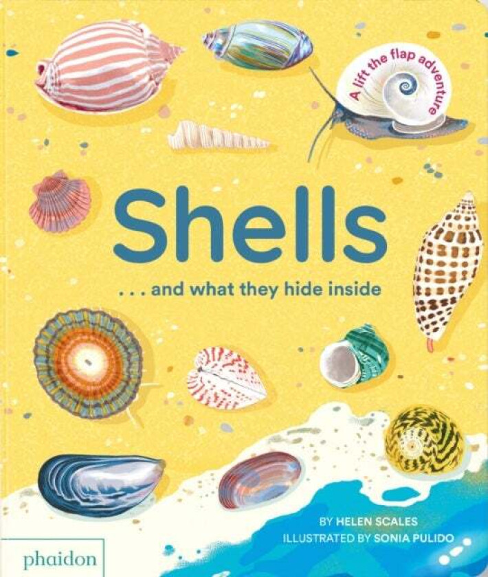 Shells... and what they hide inside av Helen Scales