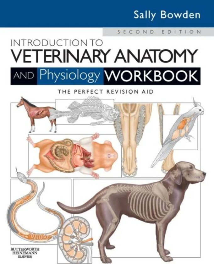 Introduction to Veterinary Anatomy and Physiology Workbook av Sally J. VN (Lecturer in Veterinary Nursing and Animal Science) Bowden