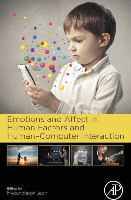 Emotions and Affect in Human Factors and Human-Computer Interaction