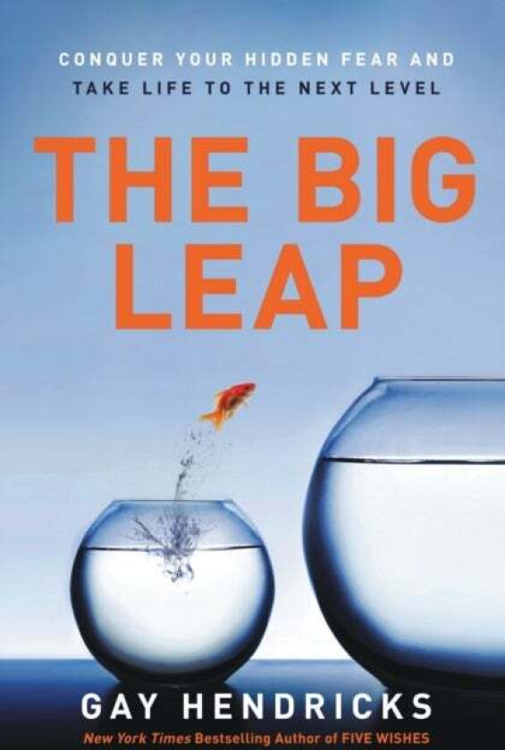 The Big Leap av Gay PhD Hendricks