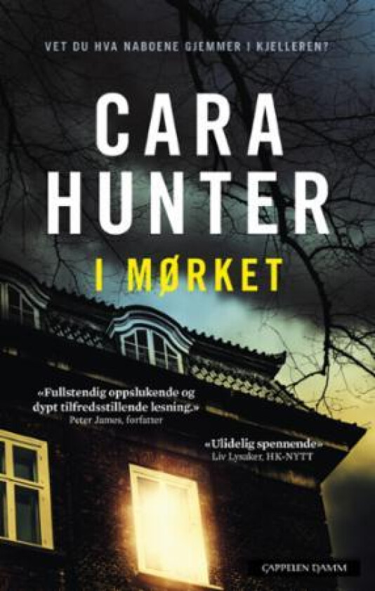 I mørket av Cara Hunter