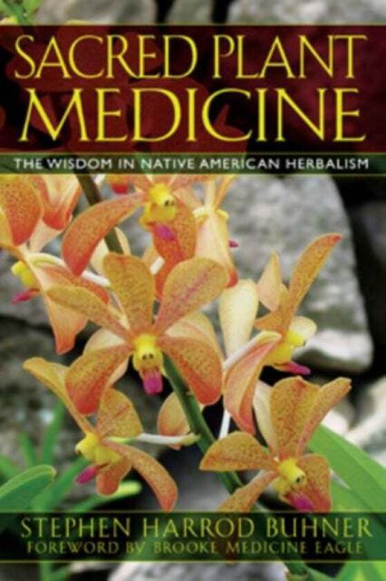 Sacred Plant Medicine av Stephen Harrod Buhner