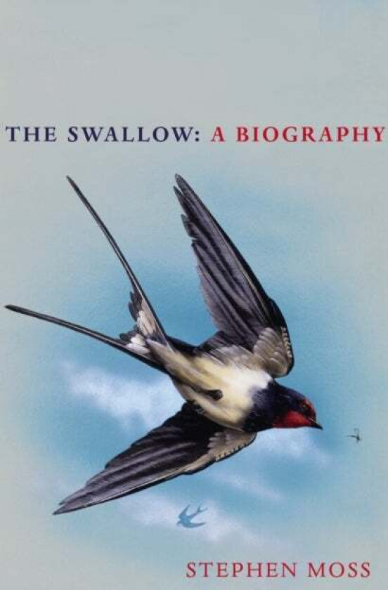 The Swallow av Stephen Moss