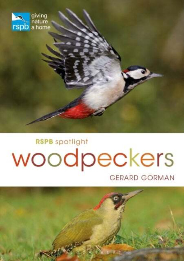 RSPB Spotlight Woodpeckers av Gerard Gorman