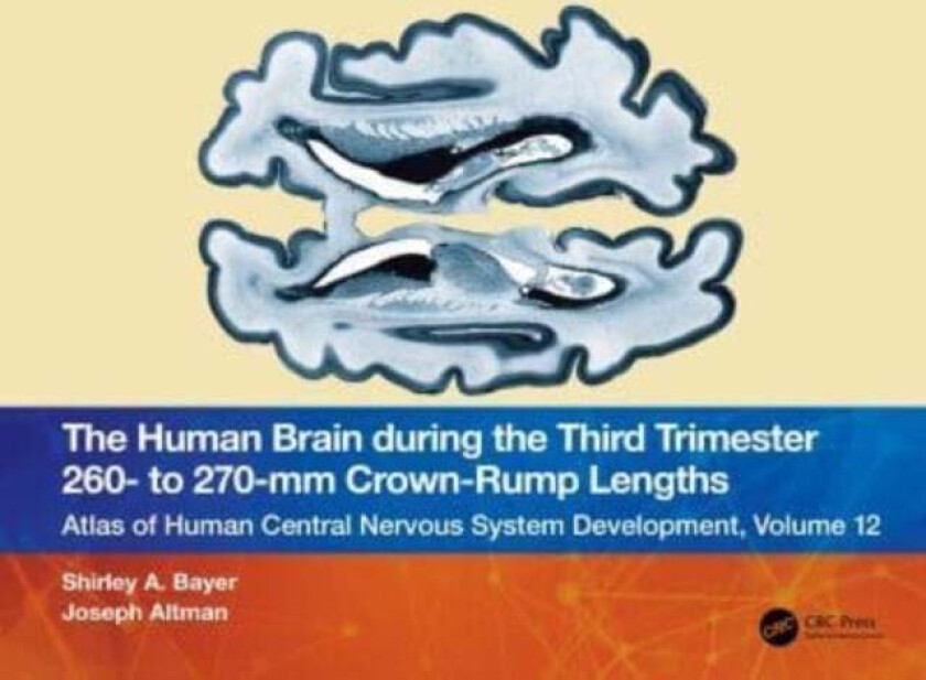 The Human Brain during the Third Trimester 260- to 270-mm Crown-Rump Lengths av Shirley A. (Indianapolis Indiana USA) Bayer, Al