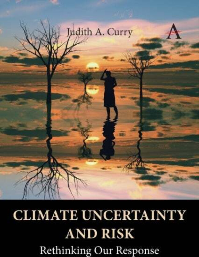 Climate Uncertainty and Risk av Judith Curry