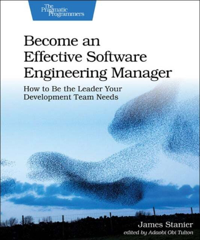 Become an Effective Software Engineering Manager av James Stanier