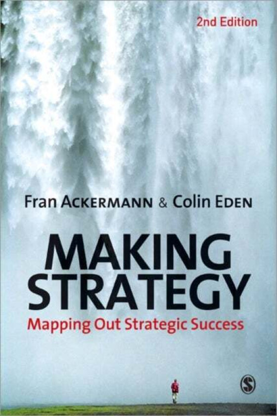 Making Strategy av Fran Ackermann, Colin Eden