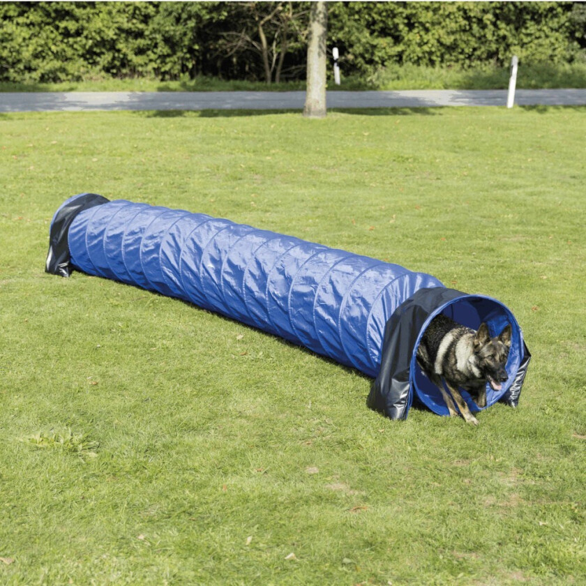 Bilde av Agility Tunnel 60x500 cm