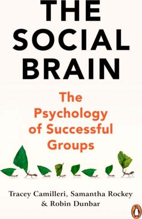 The Social Brain av Tracey Camilleri, Samantha Rockey, Robin Dunbar