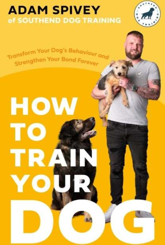 How to Train Your Dog av Adam Spivey