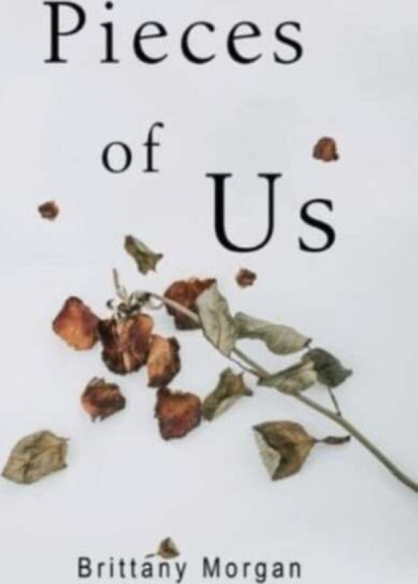 Pieces Of Us av Brittany Morgan