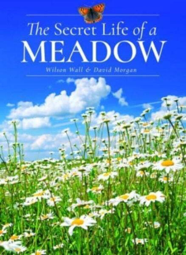 The Secret Life of a Meadow av Wilson Wall, David Morgan