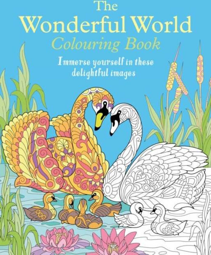 The Wonderful World Colouring Book av Tansy Willow