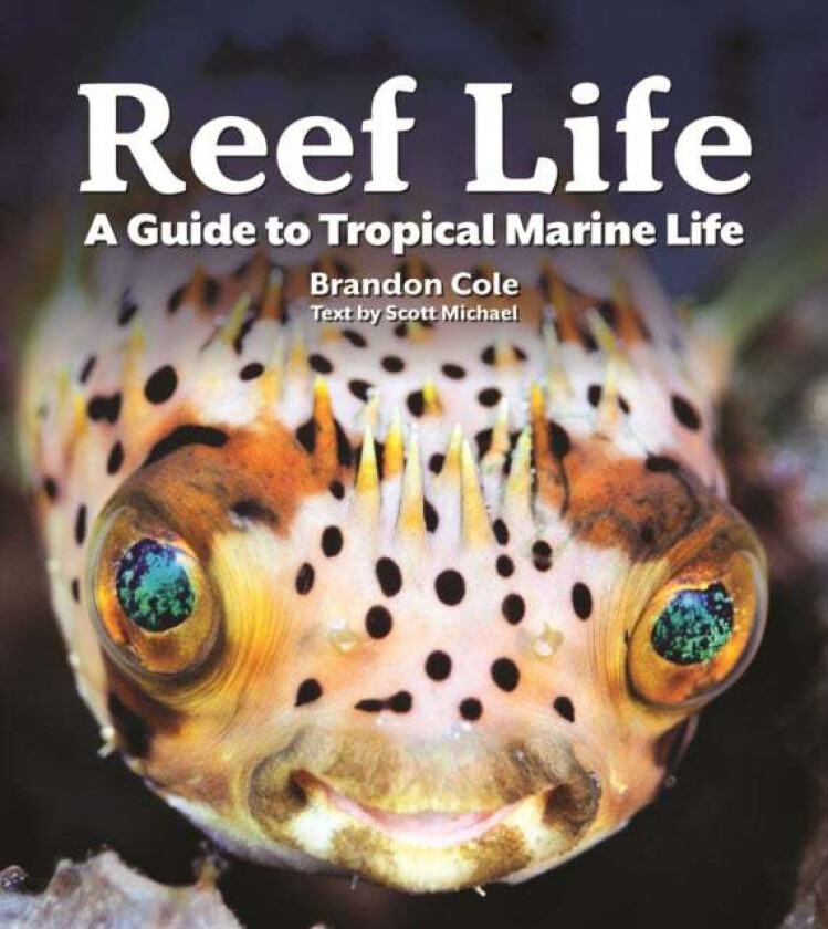 Reef Life av Michael Scott