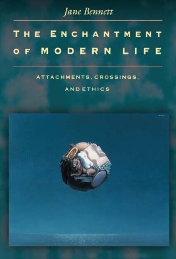 The Enchantment of Modern Life av Jane Bennett