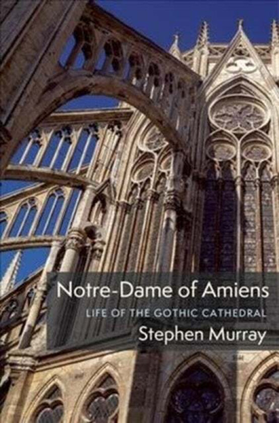 Notre-Dame of Amiens av Stephen (Lisa and Bernard Selz Professor of Medieval Art History Emeritus) Murray