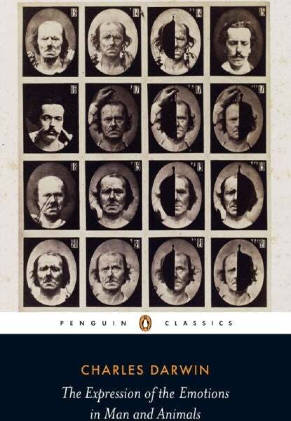 The Expression of the Emotions in Man and Animals av Charles Darwin