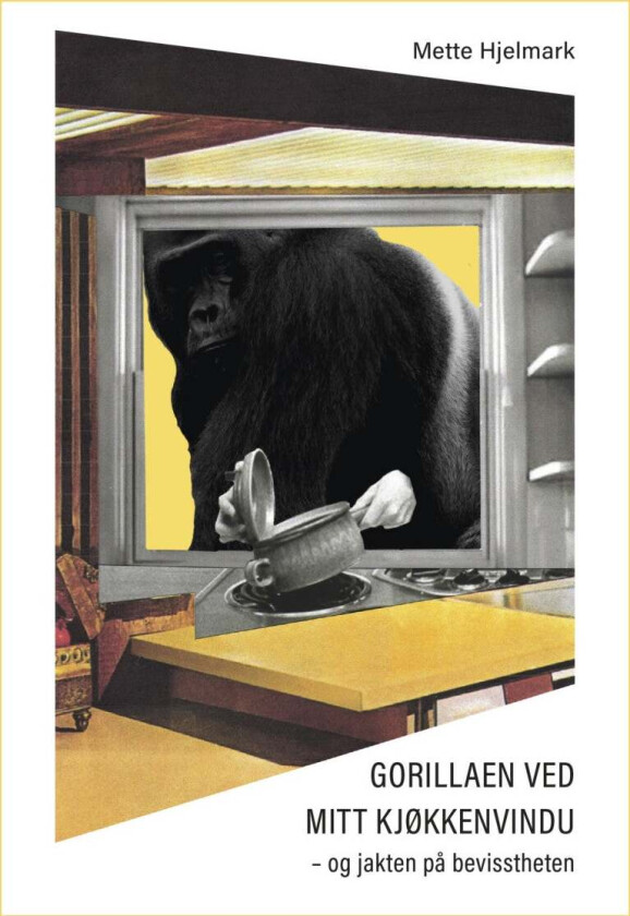 Gorillaen ved mitt kjøkkenvindu av Mette Hjelmark