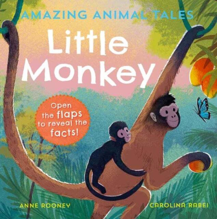 Amazing Animal Tales: Little Monkey av Anne Rooney