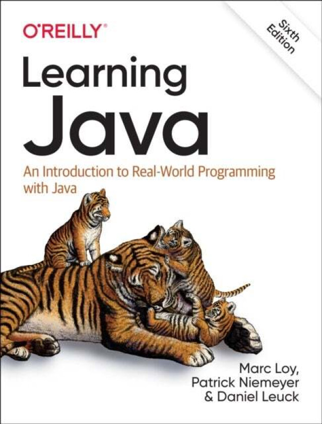 Learning Java av Marc Loy