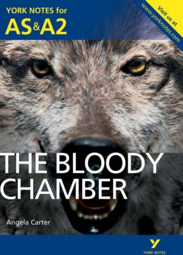 The Bloody Chamber: York Notes for AS & A2 av Steve Roberts