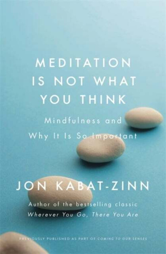 Meditation is Not What You Think av Jon Kabat-Zinn