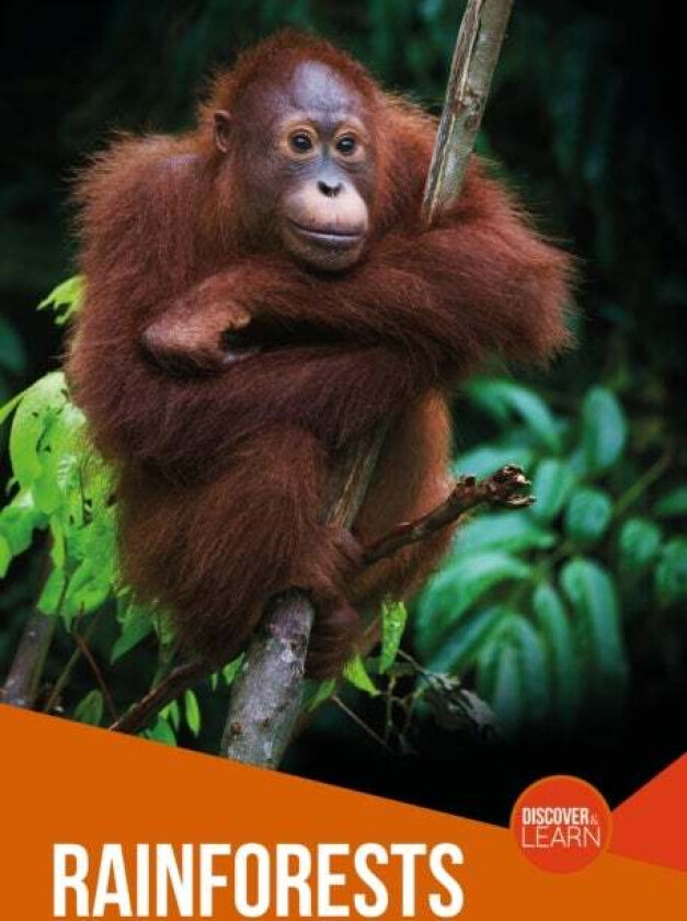 Rainforests av Joanna Brundle