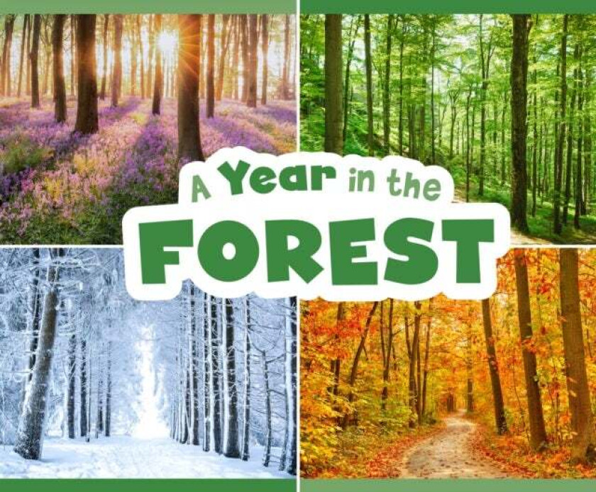 A Year in the Forest av Christina Mia Gardeski