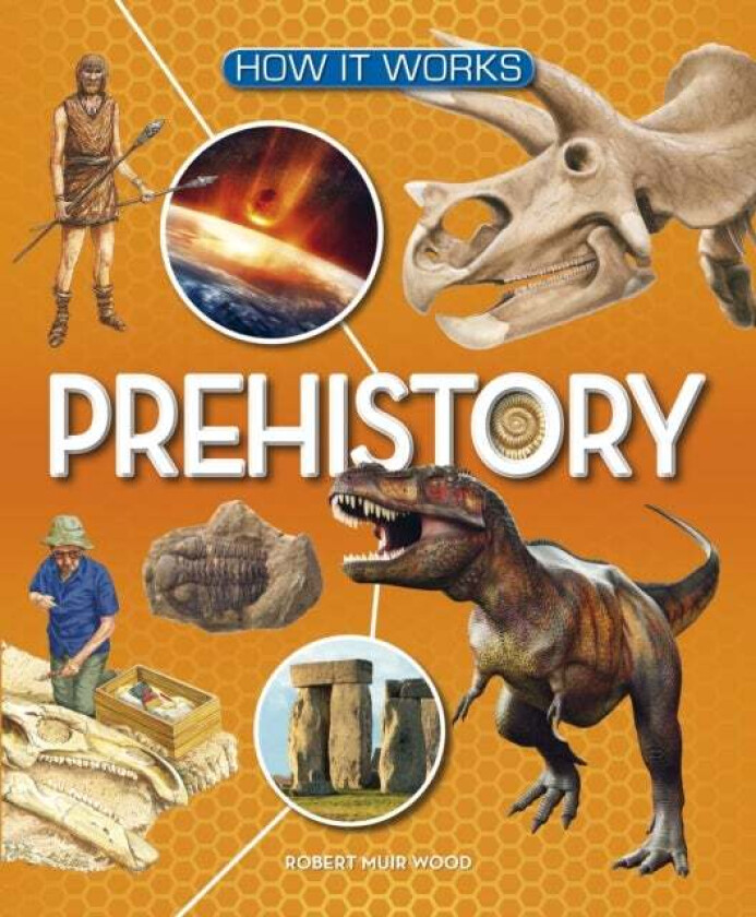How It Works: Prehistory av Robert Muir Wood