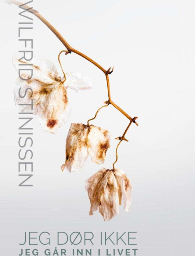 Jeg dør ikke, jeg går inn i livet av Wilfrid Stinissen