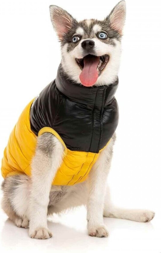 FuzzYard Harlem Puffer Hundejakke Gul (2)