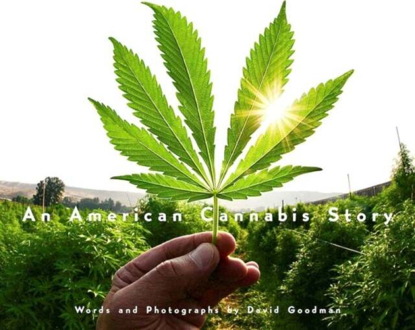 An American Cannabis Story av David Goodman