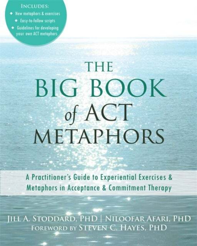The Big Book of ACT Metaphors av Jill A. Stoddard, Niloofar Afari
