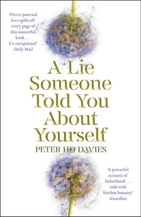 A Lie Someone Told You About Yourself av Peter Ho Davies