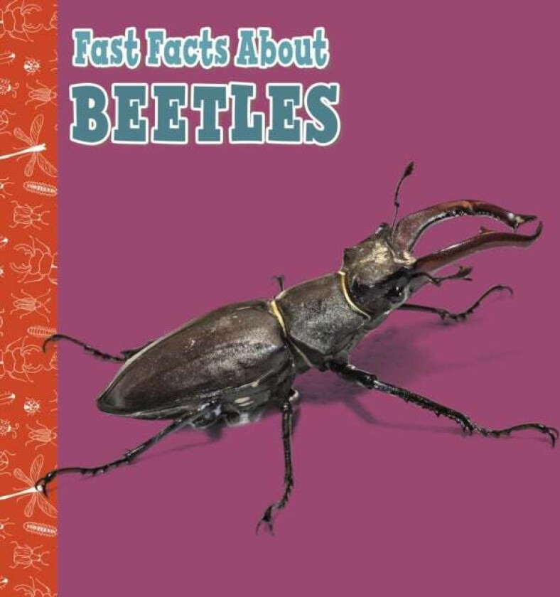 Fast Facts About Beetles av Julia Garstecki-Derkovitz