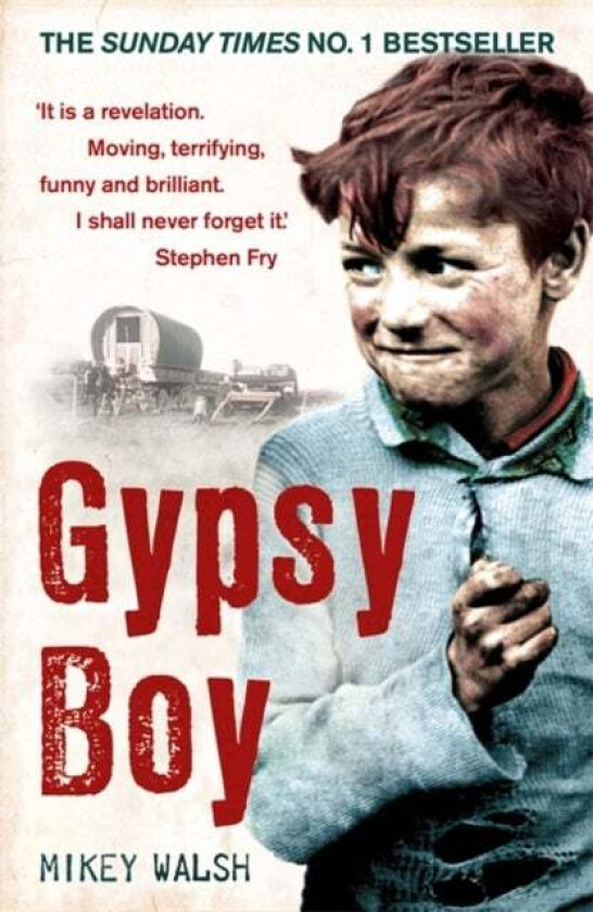 Gypsy Boy av Mikey Walsh