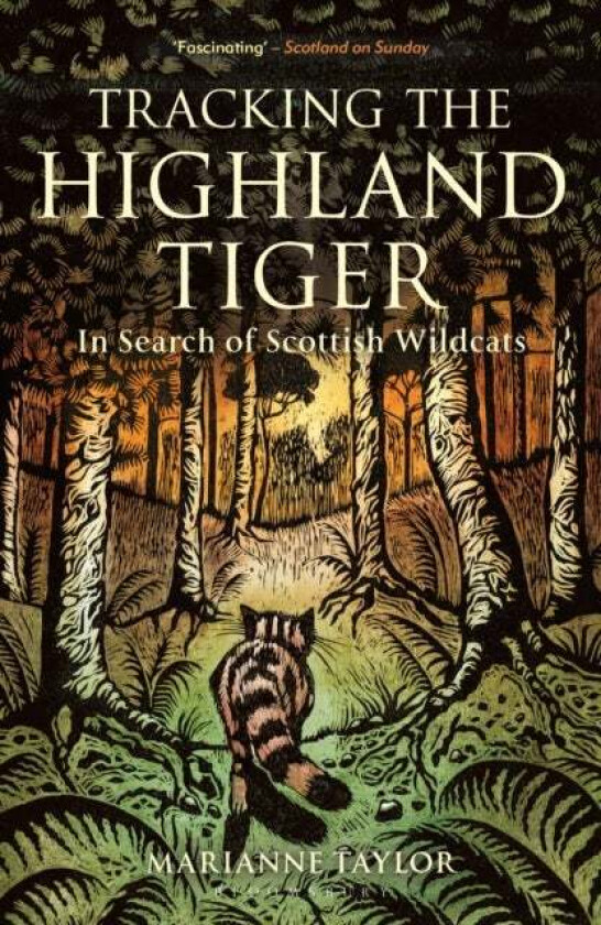 Tracking The Highland Tiger av Marianne Taylor