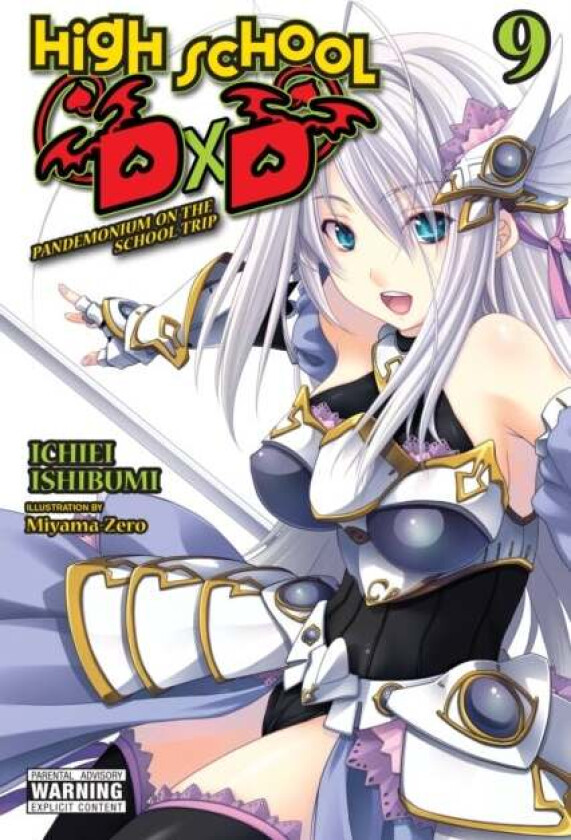 High School DxD, Vol. 9 (light novel) av Ichiei Ishibumi