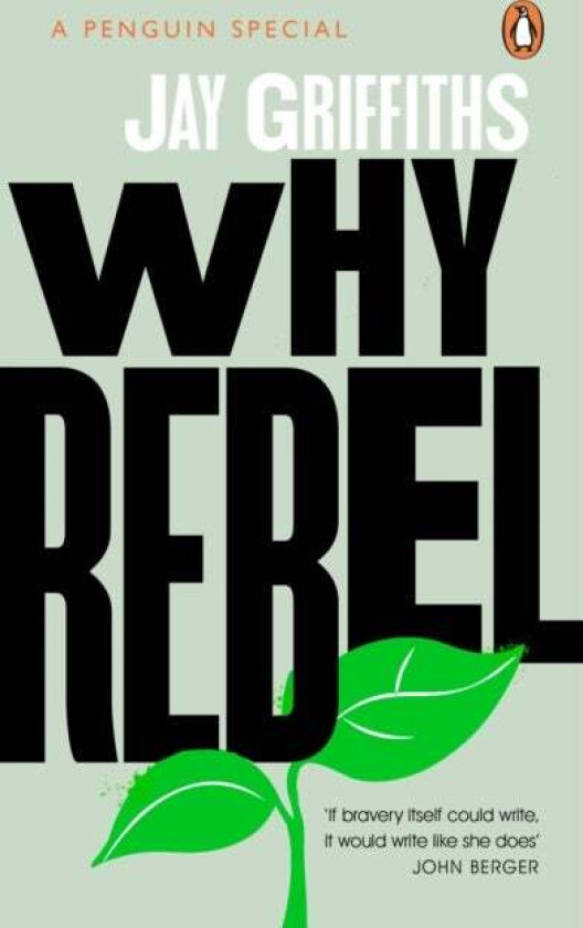 Why Rebel av Jay Griffiths