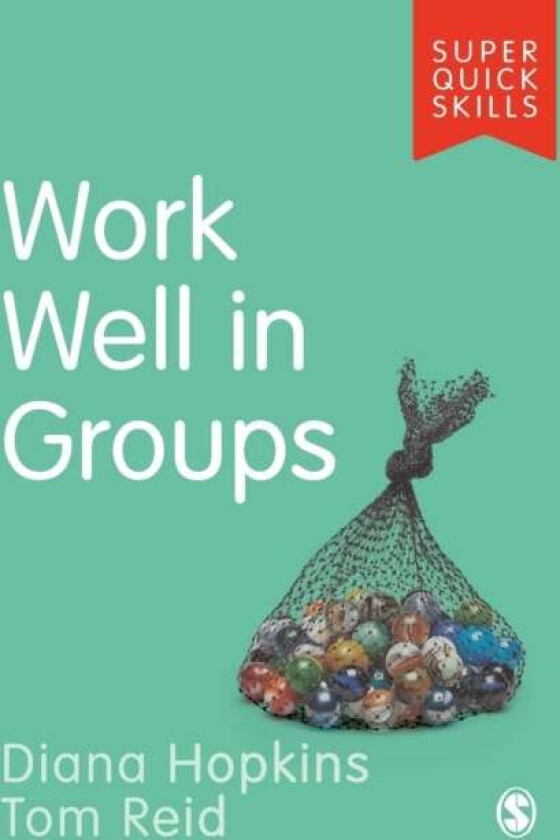 Work Well in Groups av Diana Hopkins, Tom Reid