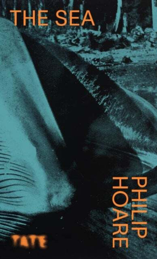 Look Again: The Sea av Philip Hoare