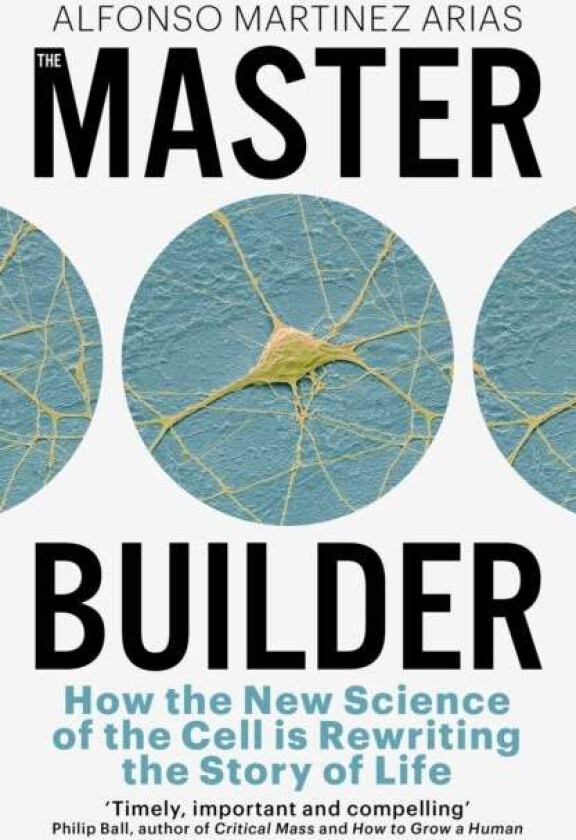 The Master Builder av Alfonso Martinez Arias
