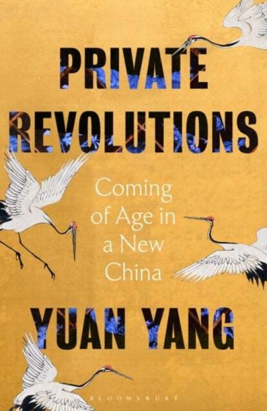 Private Revolutions Av Yuan Yang